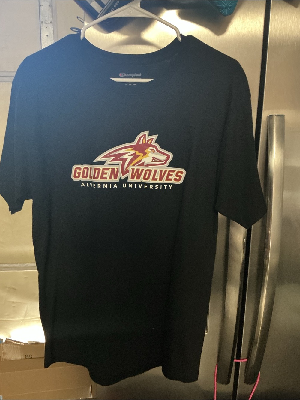 Alvernia Golden Wolves Tee by Champion NWoT Medium #Wolves